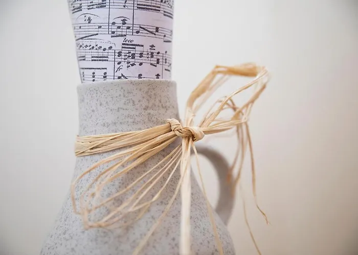 San Bernardo 3* Контра